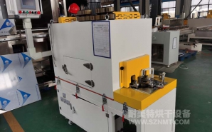 NMT-ZN-651 汽車零部件環形加熱隧道爐(大連坤元)
